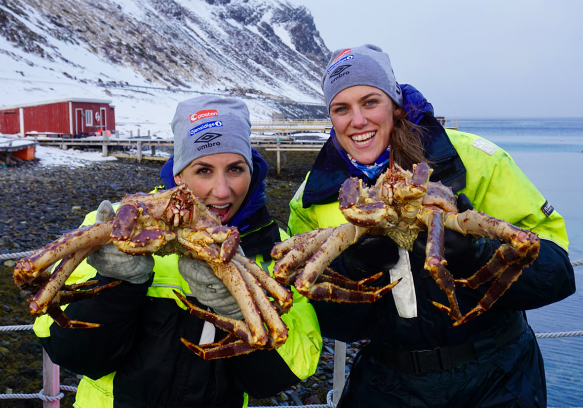 King Crab Safari