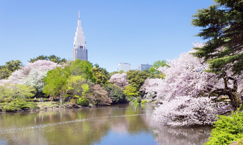 Shinjuku Gyoen