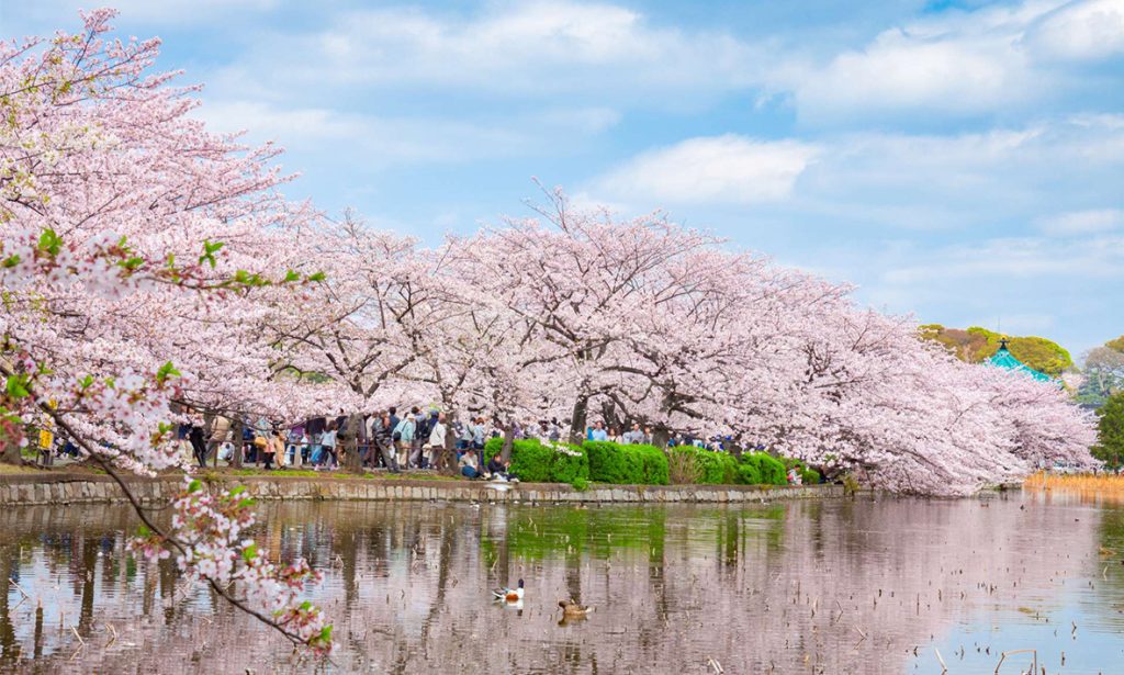 Ueon Park