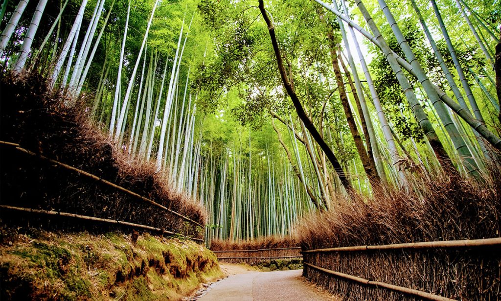 Arashiyama