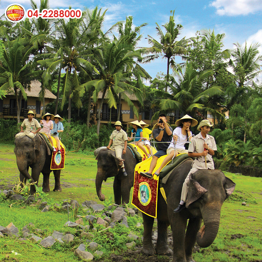 Bali02 Bali02
