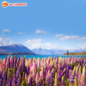 New Zealand