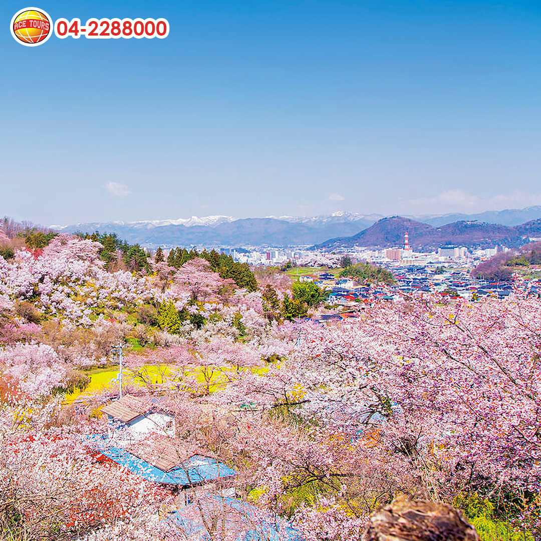 Tohoku Spring Tohoku Spring