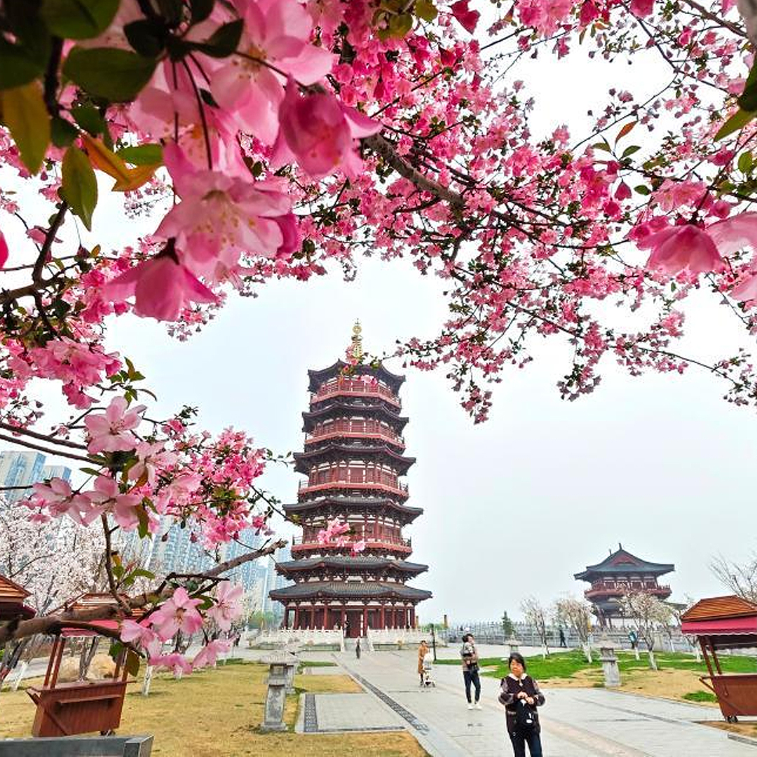 Henan Henan