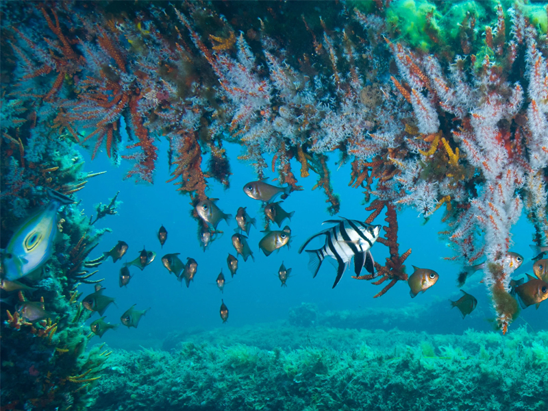 Busselton-Jetty-03