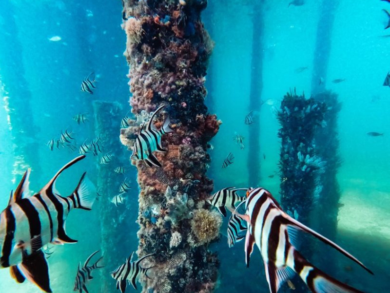 Busselton-Jetty-04