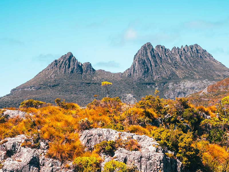 Cradle-Mountain-02