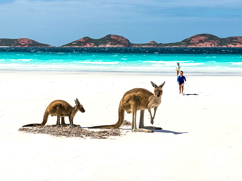 Kangaroo-Island-02