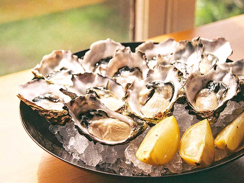 Oyster-02