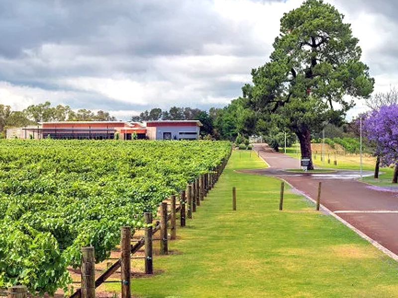 Winery01