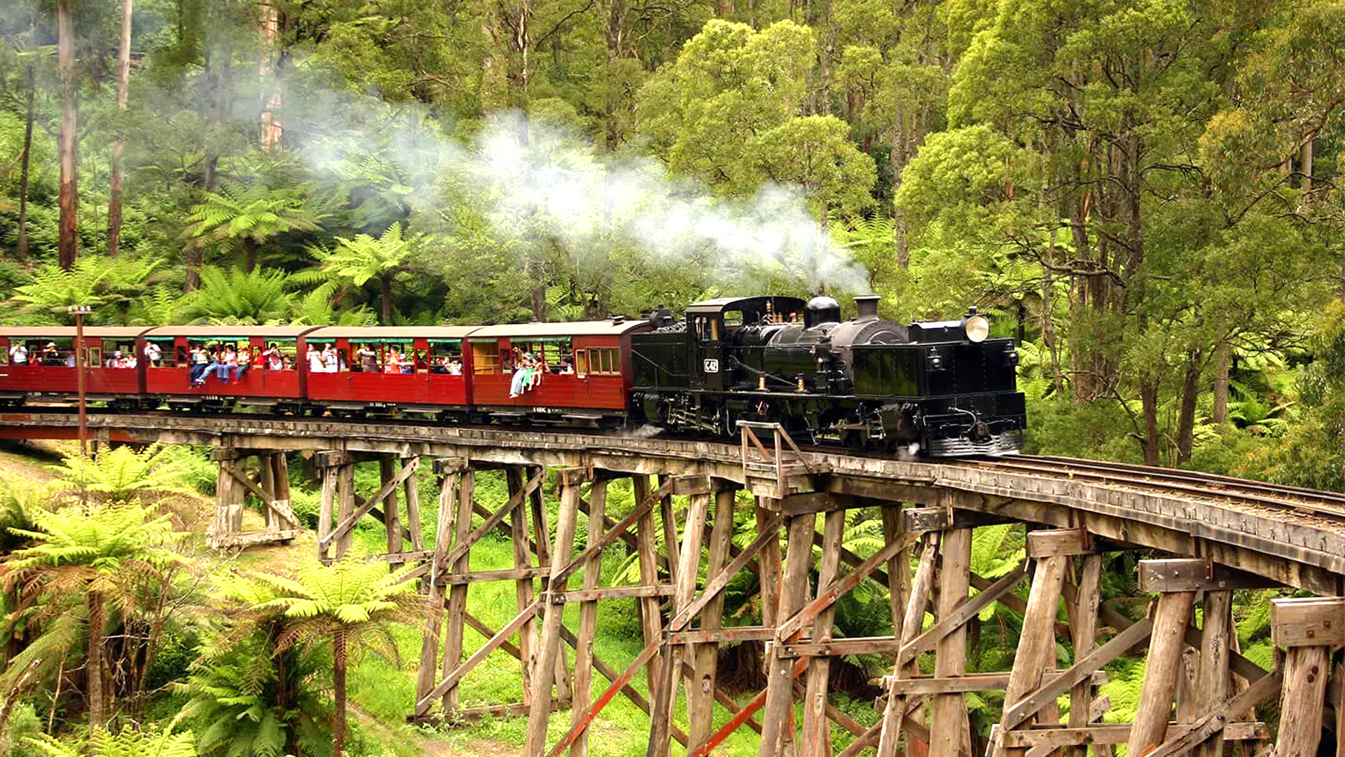 dANDENONG-rANGERS
