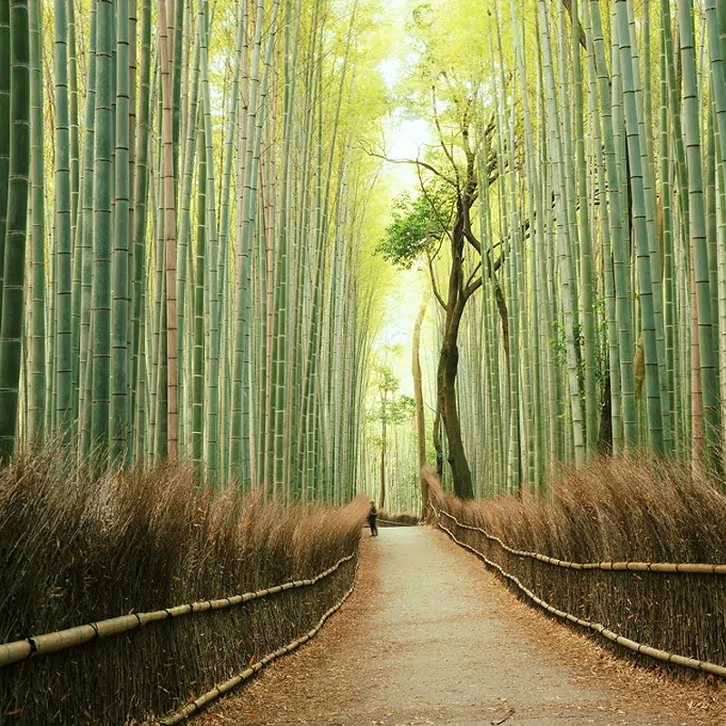 Japan-03